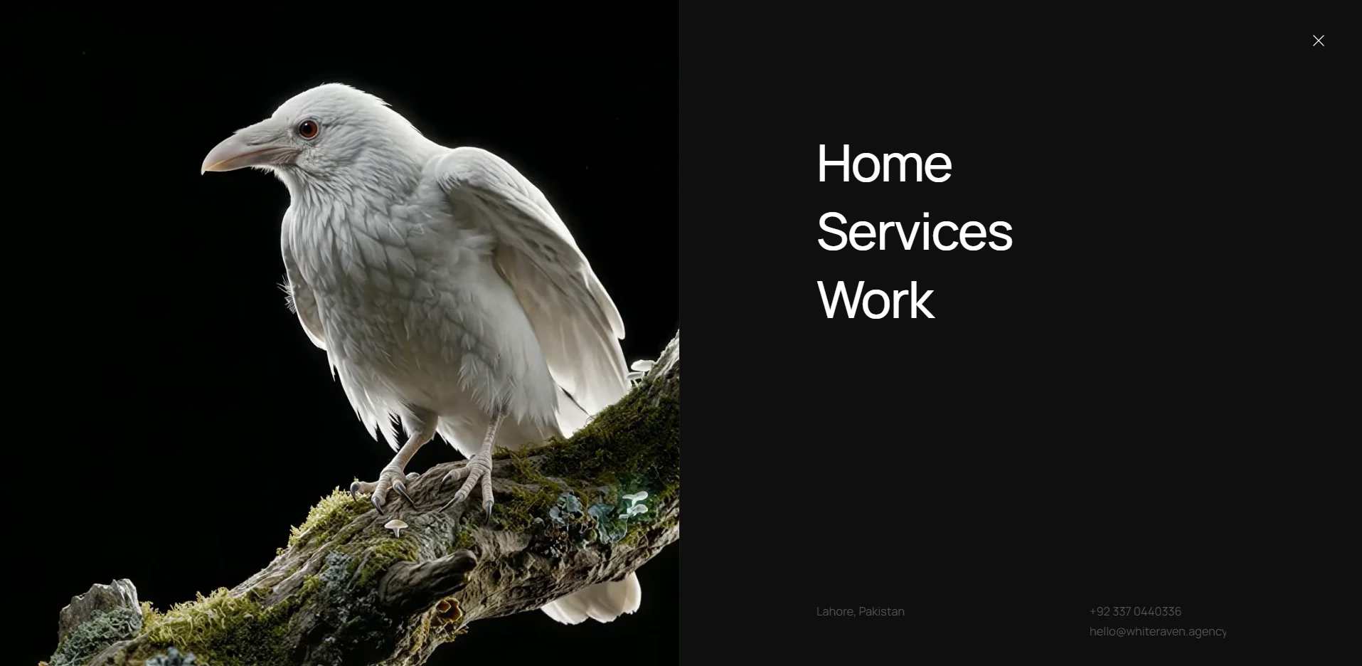 White Raven Agency detail