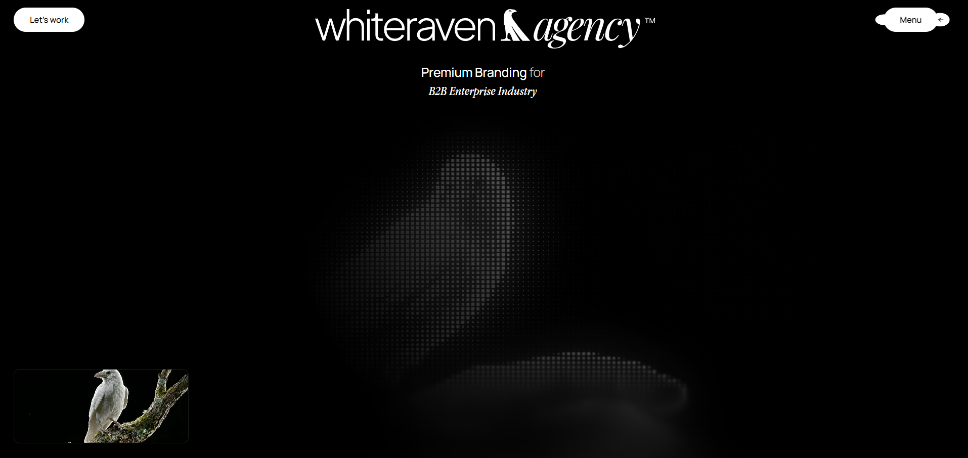 White Raven Agency detail